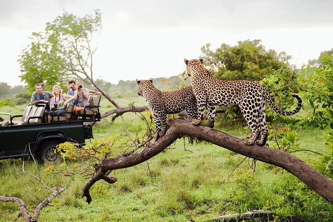 Yala National Park – Sri Lanka’s Wildlife Paradise