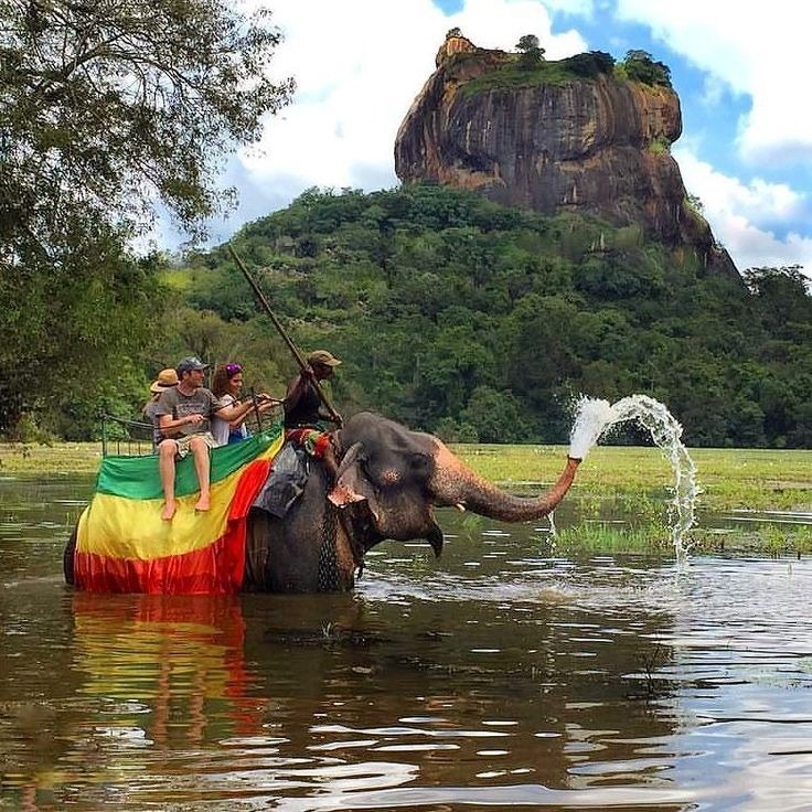 Discover the Best Destinations of Sri Lanka with TaproGo Tours
